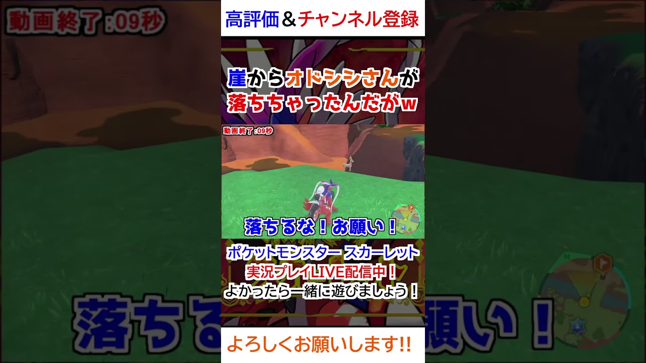 崖からオドシシさんが落ちちゃったんだがｗｗ【ポケモンSV】