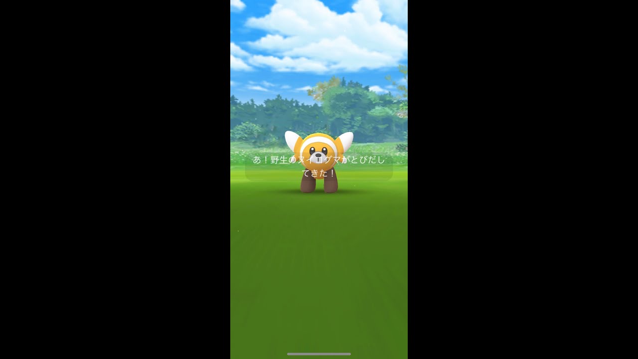 【ポケモンGO】色違いヌイコグマ！コミュニティデイ　#shorts