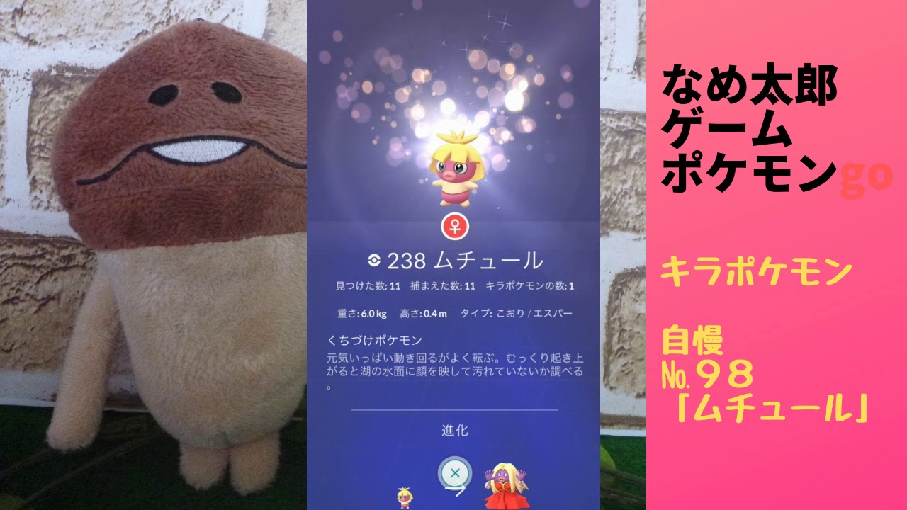 なめ太郎のキラポケモン自慢コーナーナンバー９８、「ムチュール」【ポケモンgo】