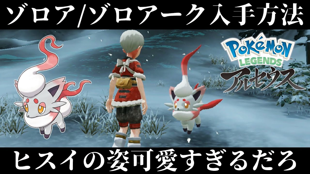 【ポケモンアルセウス】ゾロア/ゾロアークの入手方法と出現場所！ヒスイの姿のゾロアが可愛すぎて飛びかけた！【レジェンズ】