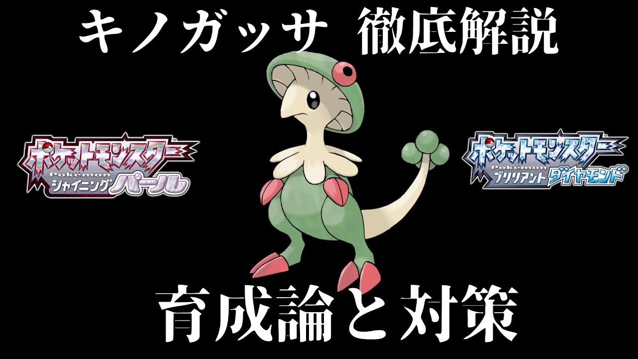 【ダイパリメイク】キノガッサの育成論と対策！努力値・性格・技構成・理想を徹底解説！最強のキノガッサを育成して対戦・バトルタワーで活躍させよう！【ダイヤモンドパール】