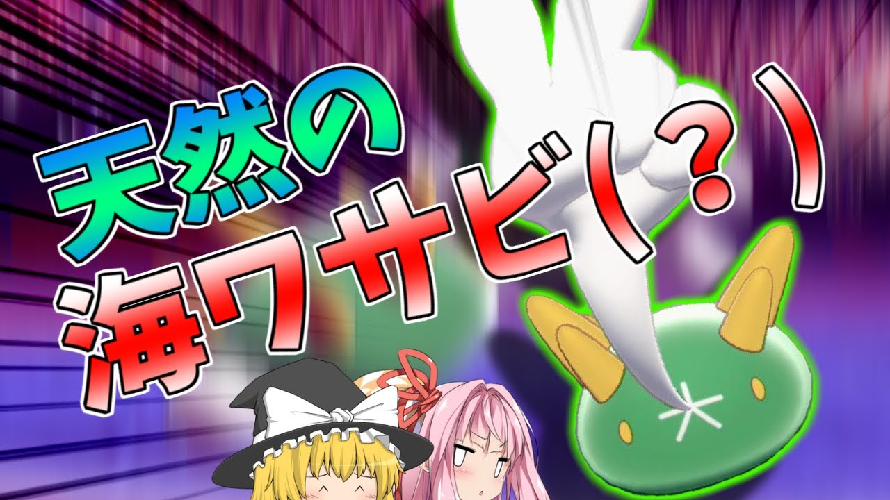 【ポケモン剣盾】色違いの「ナマコブシ」で相手の心をへし折る！ ～ ワサビ色に光るナマコは天然ものの海の幸【ボイスロイド+ゆっくり実況】