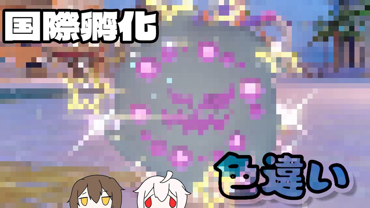 「ゆっくり実況」国際孵化で色ミカルゲ狙います😇【ポケモンsv】