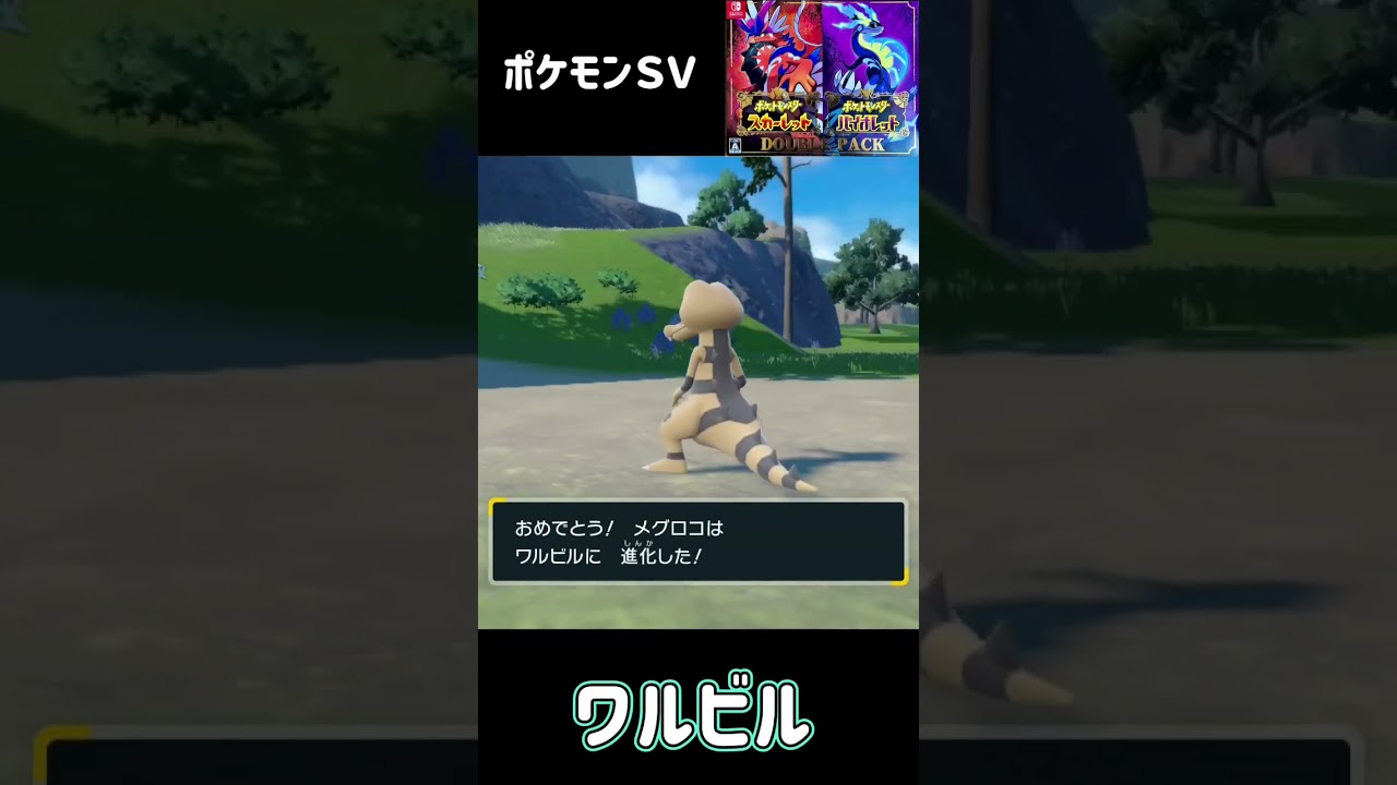 ポケモンＳＶ　メグロコ進化　ワルビル進化　ワルビアル　Sandile Krokorok Krookodile