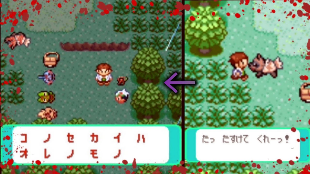 追いかけられることに疲れたオダマキ博士【ポケモンエメラルド】