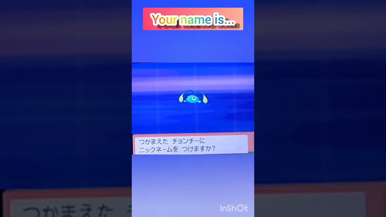 【ポケモンDP】色違い捕獲日記　98日目　チョンチー　【PokémonDP】The diary Capturing shiny Pokémon's　Day98　Chinchou　#shorts