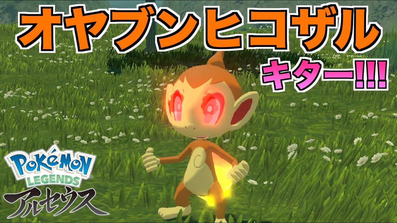 オヤブンヒコザル発見！！捕獲を試みた結果...【ポケモンレジェンズ アルセウス】