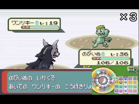 【ポケモン縛り】愛犬ポチエナ（グラエナ）とホウエン地方を制覇の旅 Part.9【ゆっくり有】