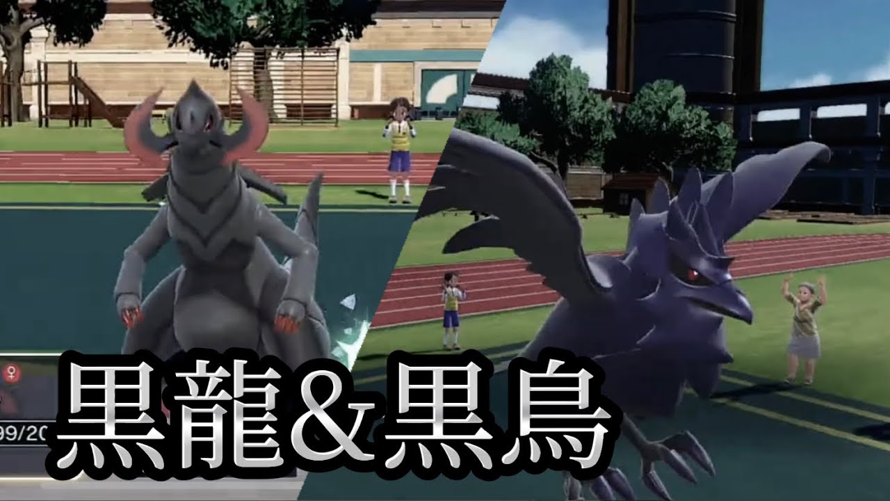 【ポケモンSV】オノノクス、アーマアガアの並びが強い…！