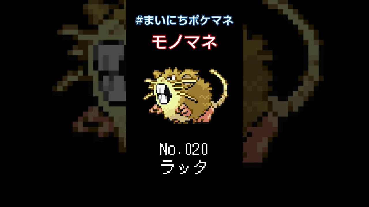 [ラッタ] ポケモンの鳴き声モノマネをさせてくれ - 20日目 #まいにちポケマネ #shorts