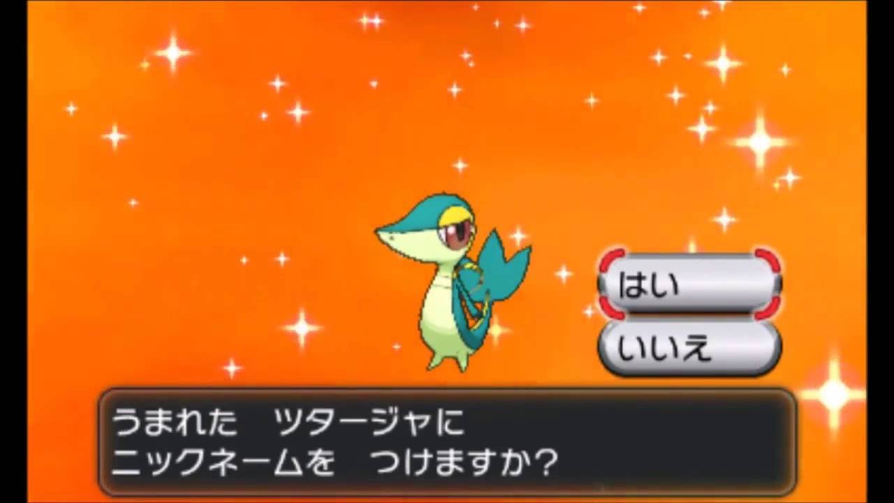 【国際孵化】色違いツタージャの孵化～最終進化まで