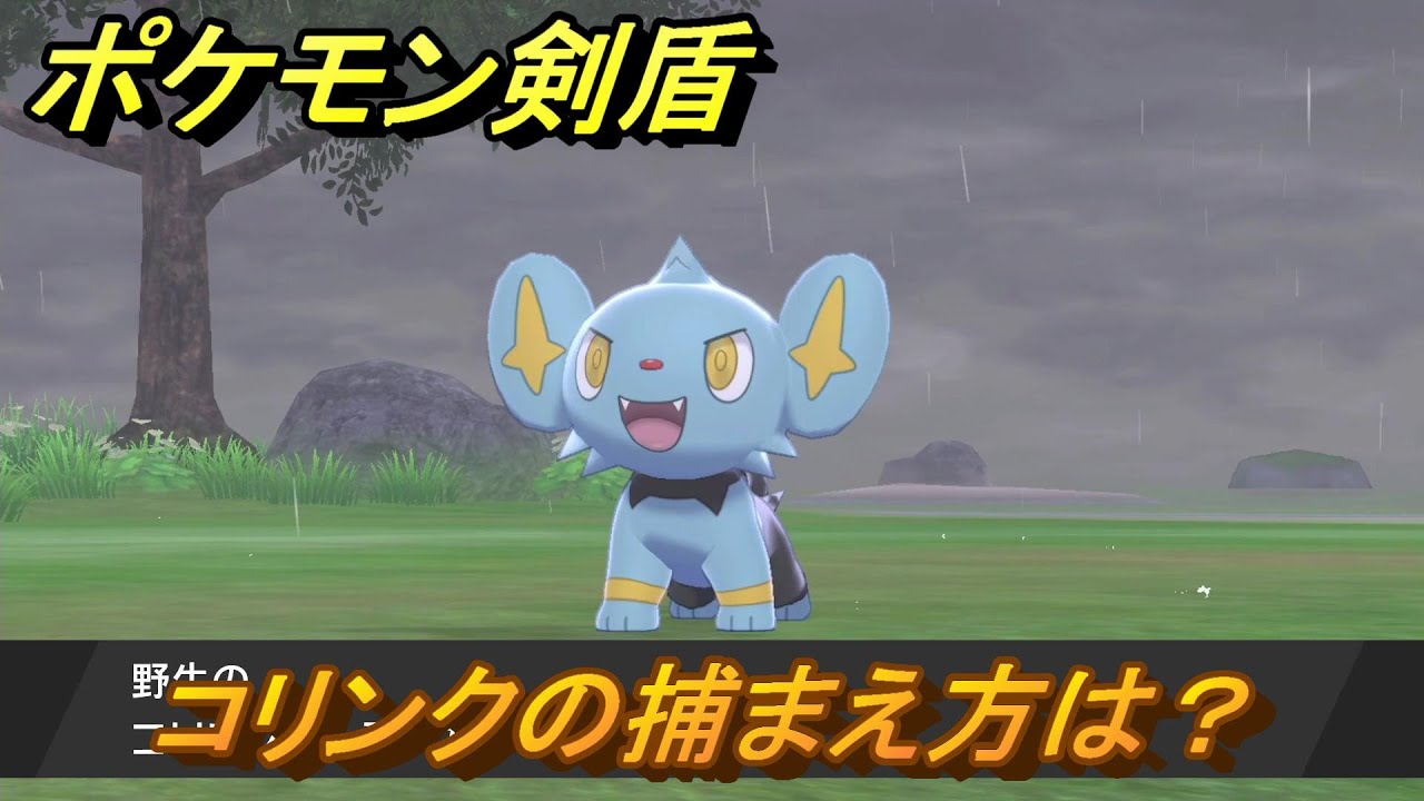 ポケモン剣盾　コリンクを捕まえる方法！オススメの場所は？天気は？ポケモン図鑑コンプへの道！　最新版【ポケモンソード・シールド】