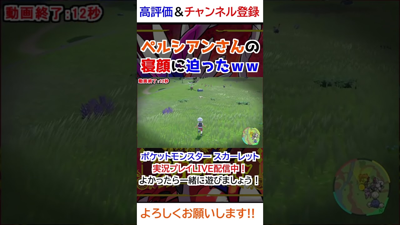 ペルシアンさんの寝顔に迫ったｗｗ【ポケモンSV】