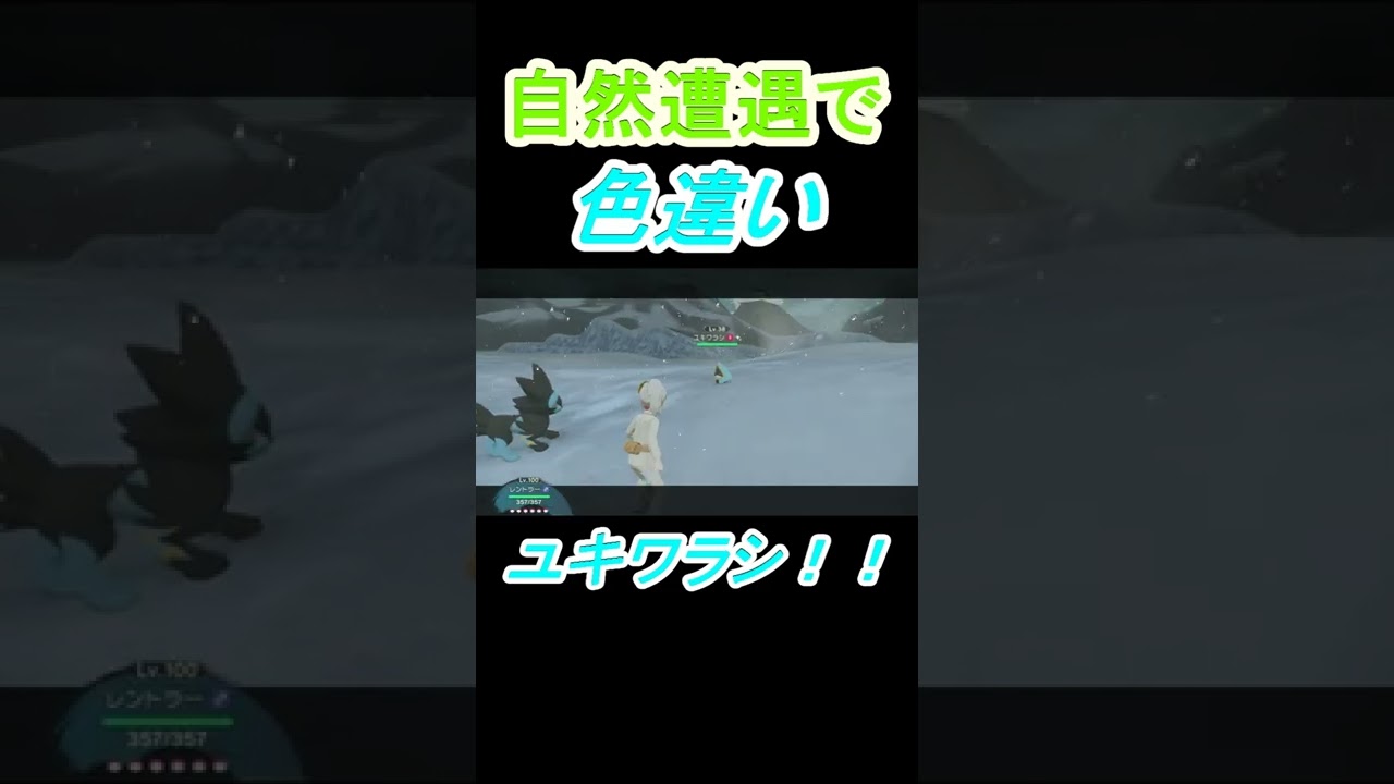 【自然遭遇】で色違いユキワラシを出していく者！逃げるポケモン捕獲！！アイス系色違い　#Short【大大大発生】【色厳選】【ポケモンレジェンズ】【Pokémon LEGENDSアルセウス】Snorunt