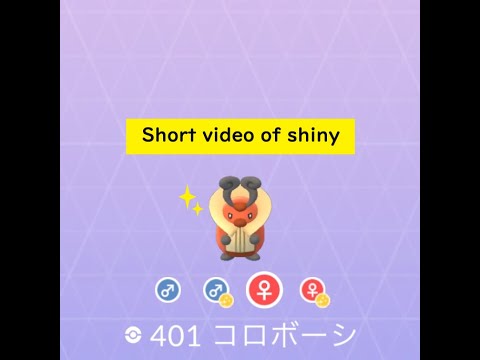 【Pokémon GO】Rarity ”C”＃401 コロボーシ ☆shiny☆