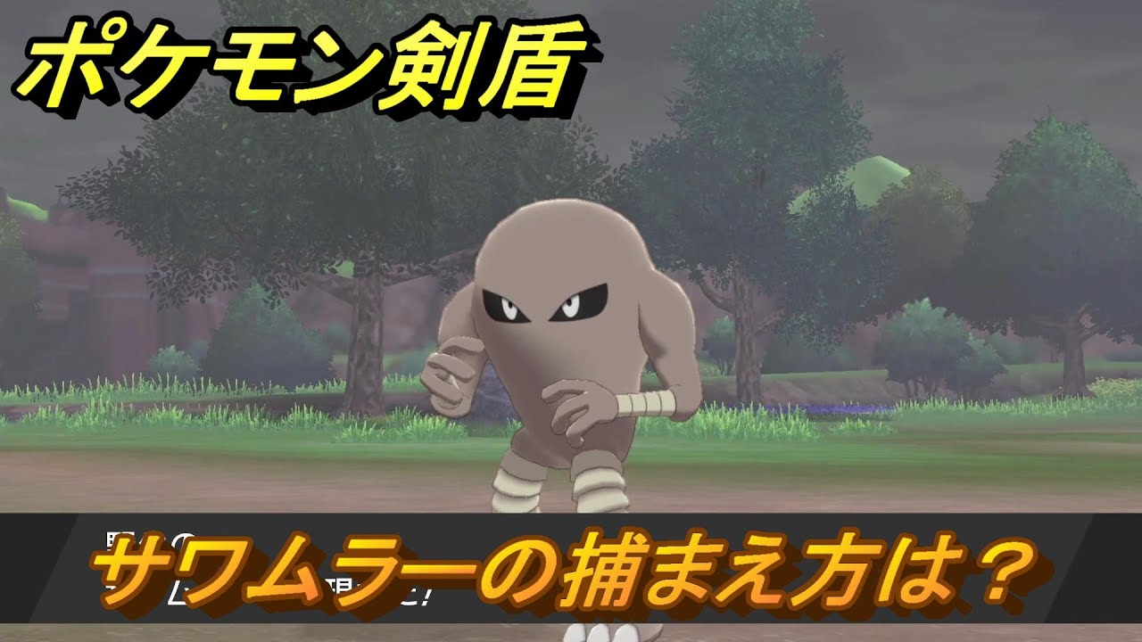 ポケモン剣盾　サワムラーを捕まえる方法！オススメの場所は？天気は？ポケモン図鑑コンプへの道！　最新版【ポケモンソード・シールド】