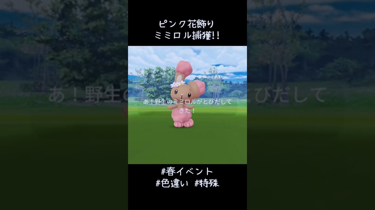 きたーーー😆ピンクの花飾りミミロル✨✨✨かわいい🥰 春イベント、今日が実質最終日。他の花飾り色違い求めて歩き回ります🚶#ポケモンGO