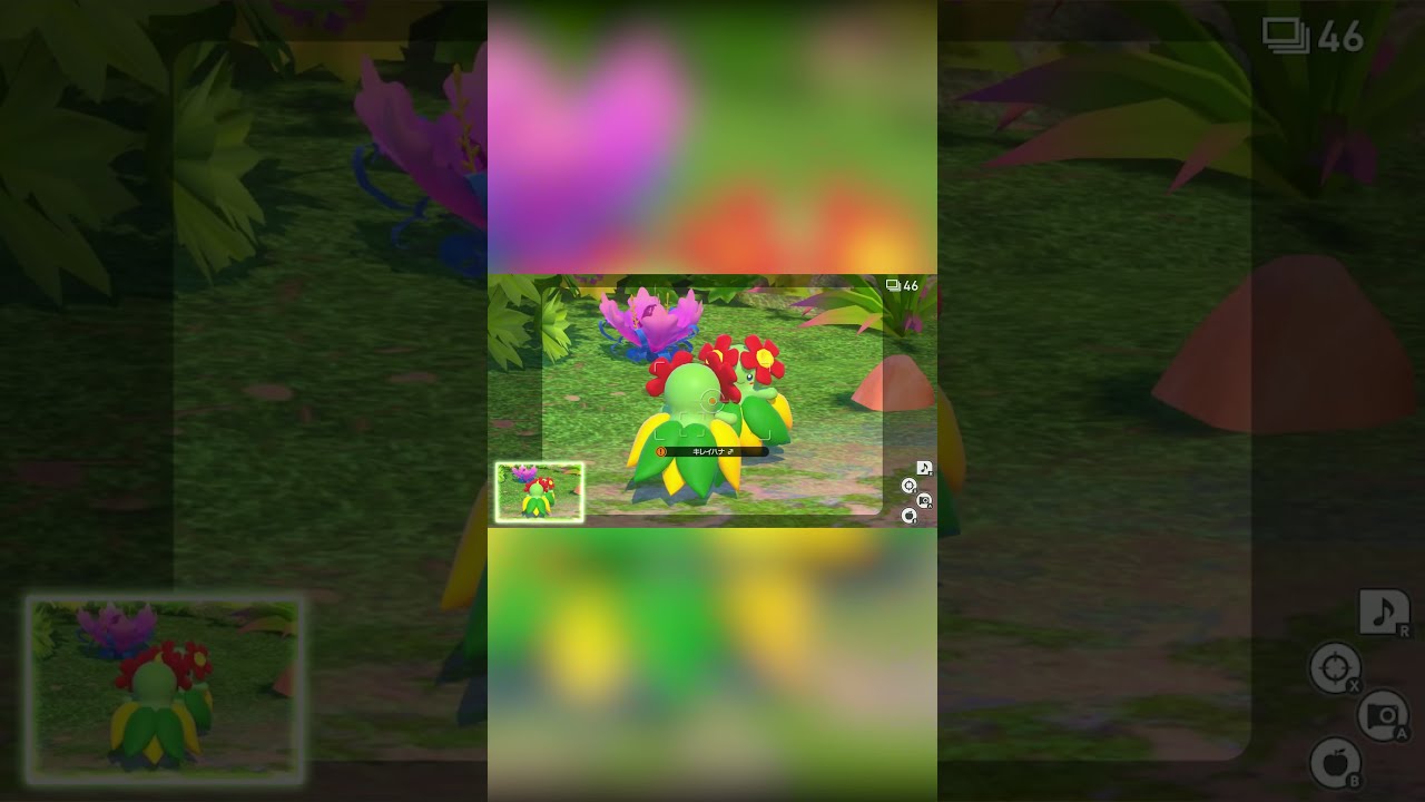 【Newポケモンスナップ NEW POKÉMON SNAP】キレイハナ、舞う。 #shorts