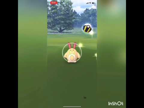 ［ポケモンgo］色違いオタチ