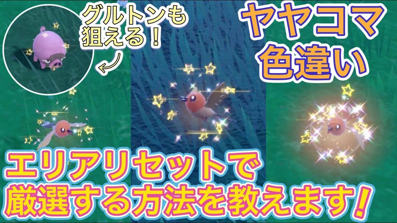 【最新情報】ヤヤコマをエリアリセットで色違い厳選する方法！【ポケモンSV】