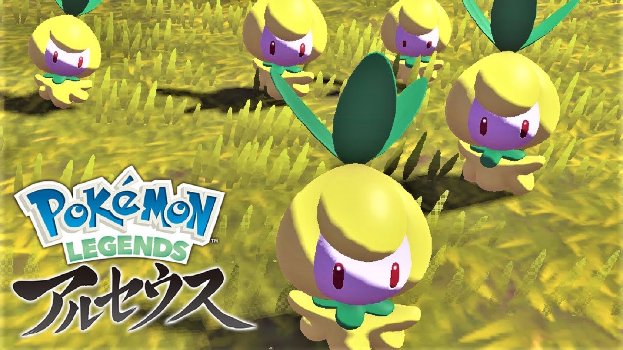 可愛すぎなチュリネ６匹に囲まれて癒されたい【ポケモンレジェンズアルセウス】