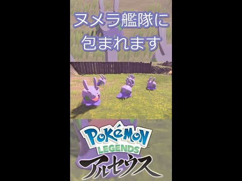 ヌメラ６匹に囲まれるだけの動画【ポケモンレジェンズアルセウス】#Shorts