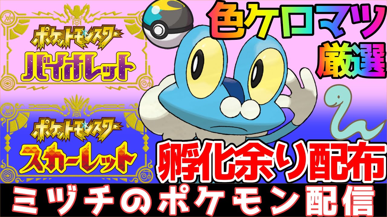 【初見さん歓迎】ムンボ色ケロマツ孵化厳選 & 孵化余り配布【ポケモンSV】