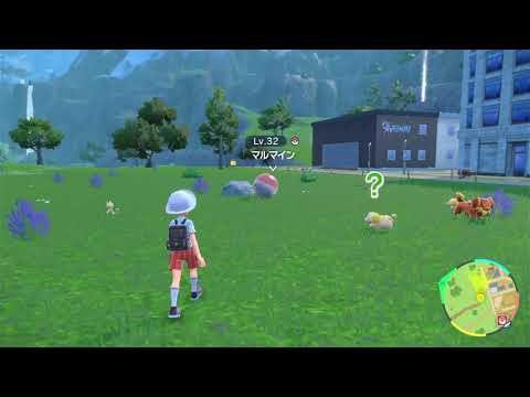 【ポケモンSV】マルマインの出現場所・行き方【スカーレットバイオレット】