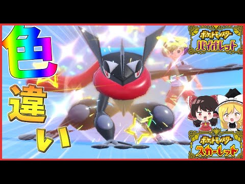【ポケモンSV】さいきょうゲッコウガ来たし色違いゲッコウガ孵化厳選した結果...【ゆっくり実況】