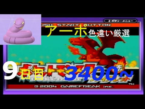 【金のガラガラヘビ】新米配信者のアーボ色違い厳選(9日目) 3400~【ポケモンFRLG】
