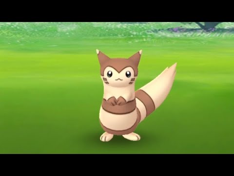 ポケモンGO オオタチ　Pokémon GO