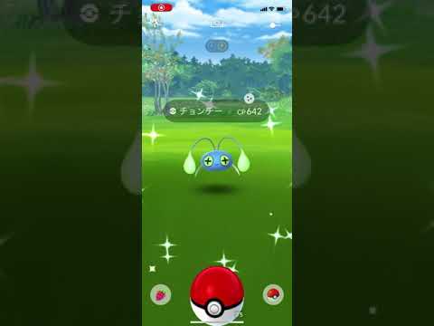 ポケモンgo 野生の色違いチョンチーゲットチャレンジ