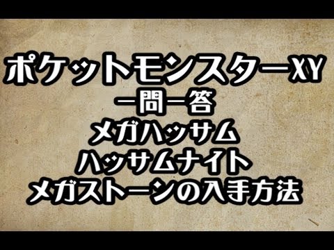 ポケモンXY　メガハッサム ハッサムナイト メガストーンの入手方法　攻略　裏技　ポケットモンスターXY