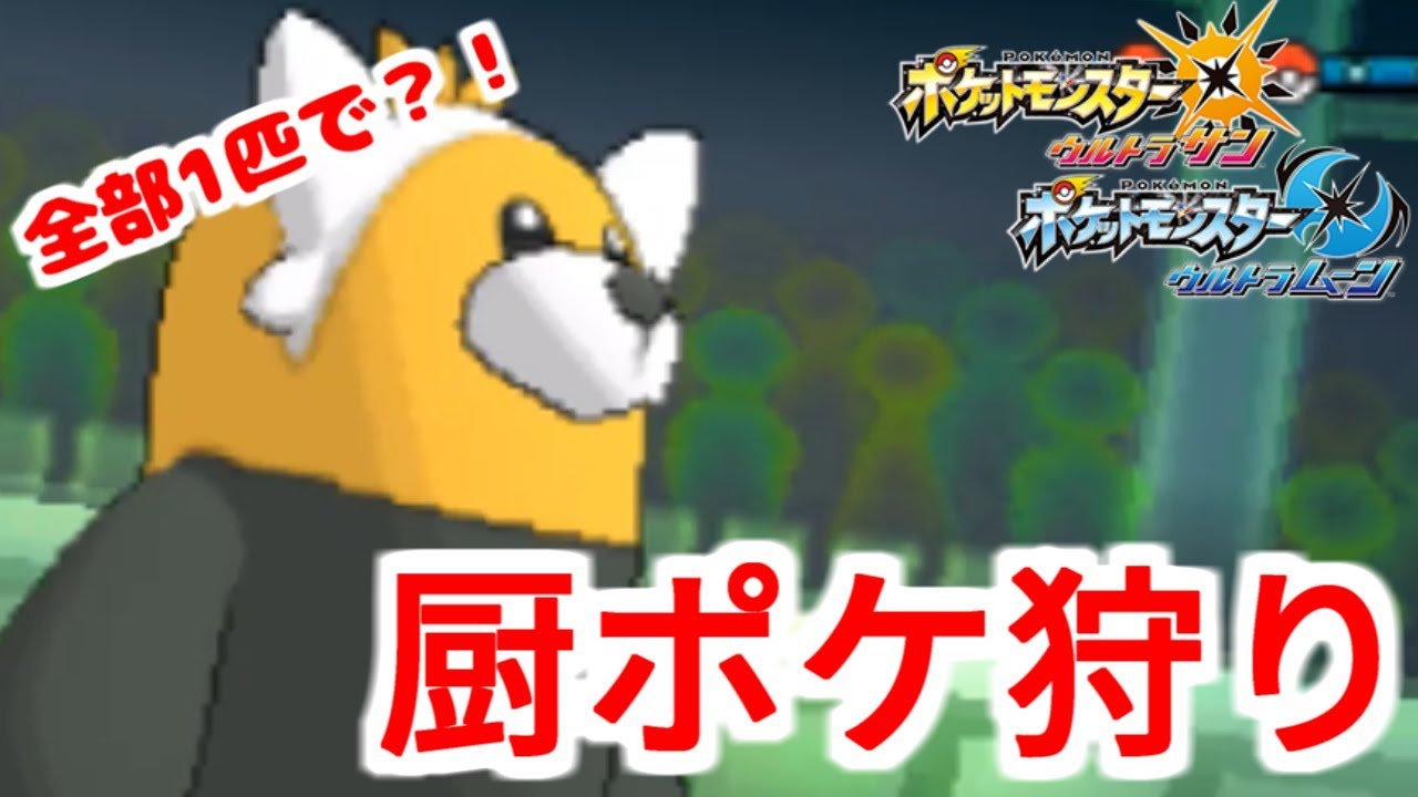 【最強キテルグマ】レートで大流行の厨ポケ全部倒せます【ポケモンUSUM】