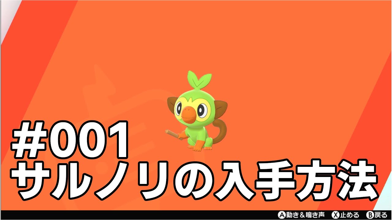 サルノリを探している方に見てほしい動画