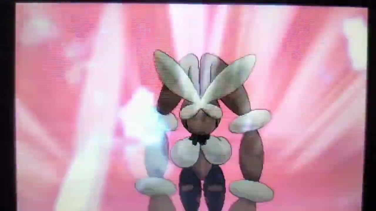 とっておきなメガミミロップ（2）【ポケモンUSUM】