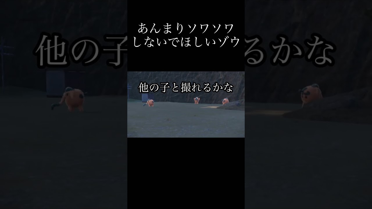 【ポケモンSV】ゾウドウかわいいゾウ...