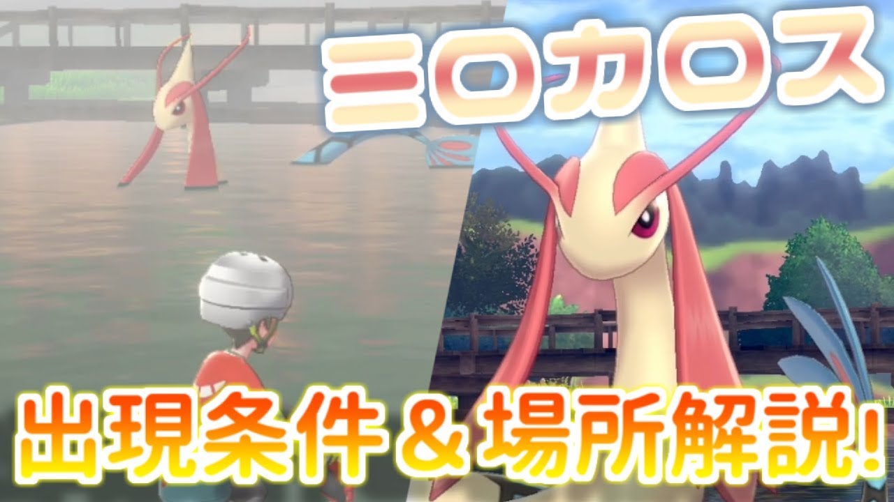 【ポケモン剣盾】確定出現！ヒンバス、ミロカロスが欲しい人必見！！出現率100％でミロカロスに会う方法！【ポケットモンスター ソード・シールド】