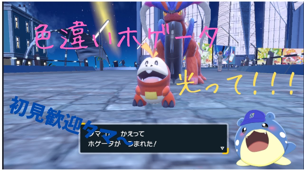 【ポケモンSV】ホゲータ色粘り！！！【新人タマザラシ】