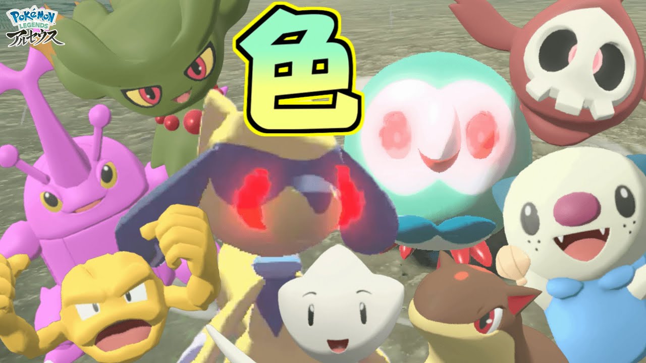 おやぶん色違いモクローとおやぶん色違いリオルがあらわれた！！ 【Pokémon LEGENDS アルセウス 】