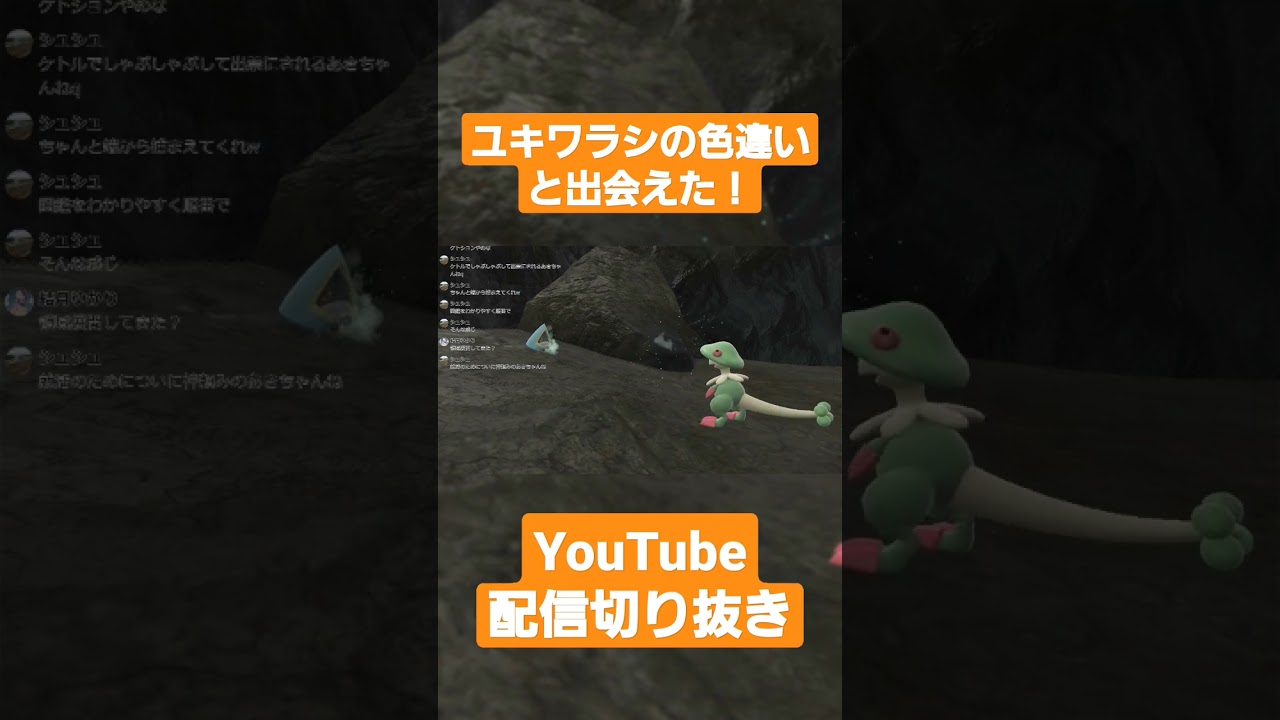 ユキワラシの色違いかわいいなぁ[ポケモンスカーレットバイオレット]#shorts