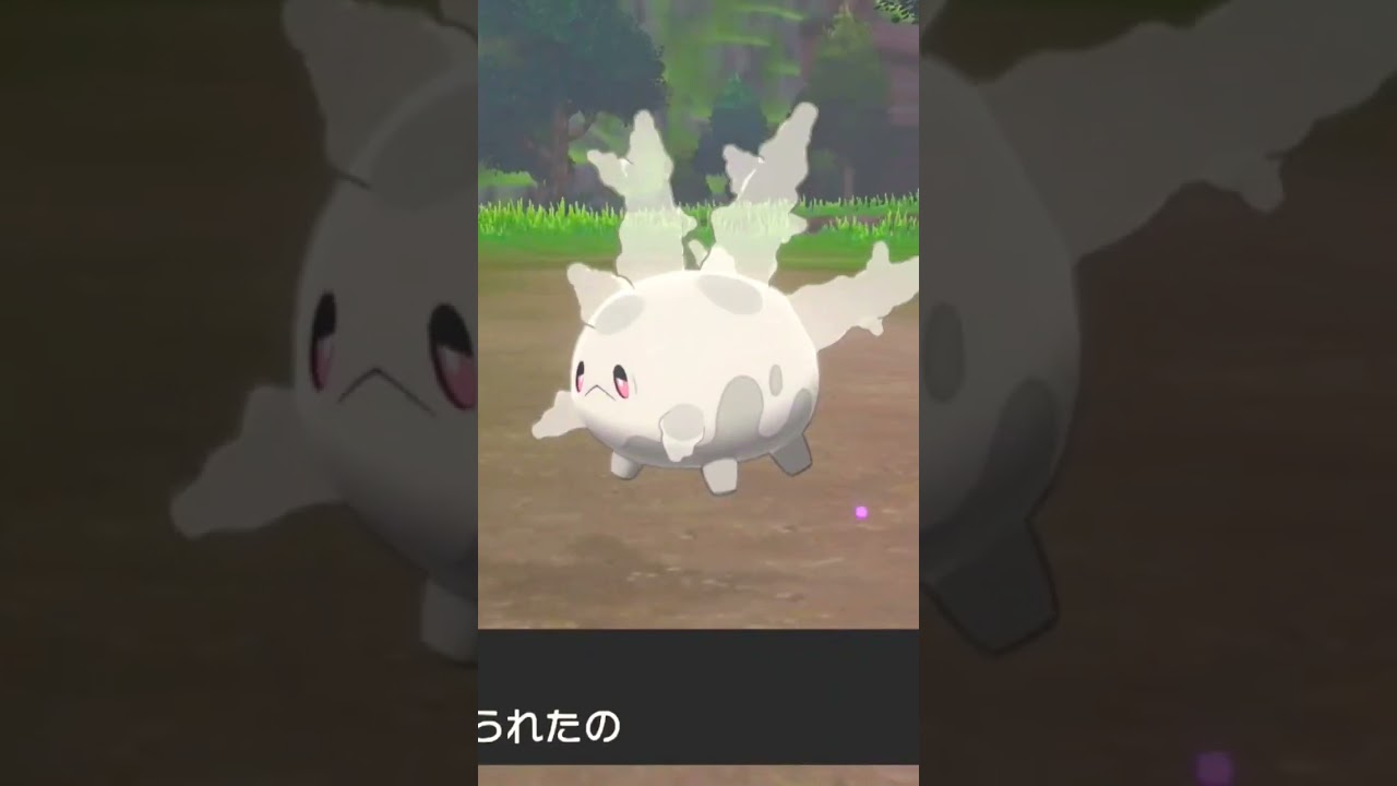 初めてのサニーゴ💕【ポケモン剣盾】