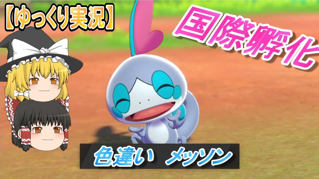 ポケモン剣盾『色違い メッソンに挑戦!!』【ゆっくり実況】