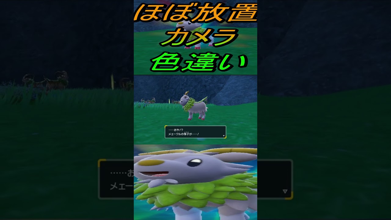 ほぼ放置色違いかわいいメェークル、ゴーゴート入手【ポケットモンスタースカーレット・バイオレットSV】#shorts