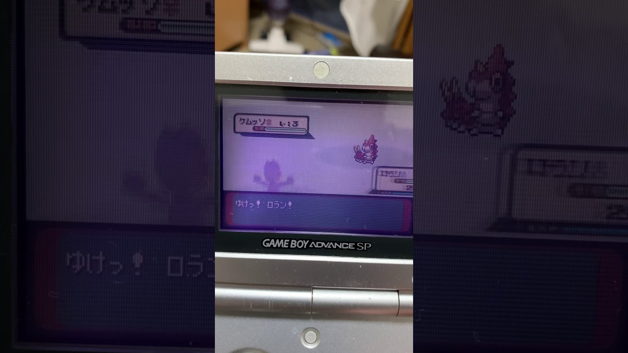 エメラルドで色違いキモリをゲット‼︎  ポケモン　エメラルド　Shiny Treecko get  Pokemon Emerald
