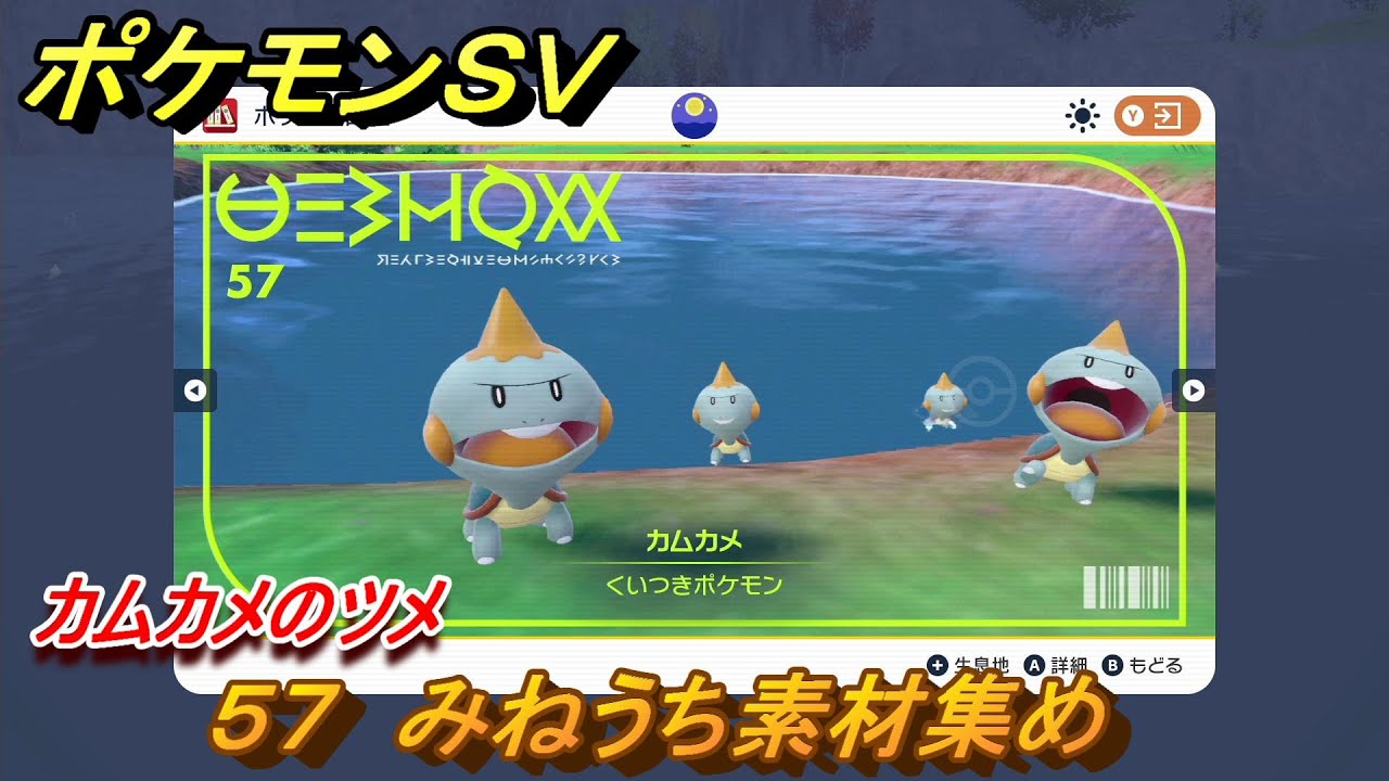 ポケモンＳＶ　わざマシン５７　みねうち素材集め　カムカメのツメの入手方法は？　【スカーレット・バイオレット】