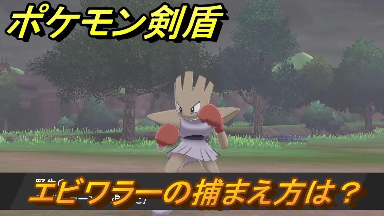 ポケモン剣盾　エビワラーを捕まえる方法！オススメの場所は？天気は？ポケモン図鑑コンプへの道！　最新版【ポケモンソード・シールド】