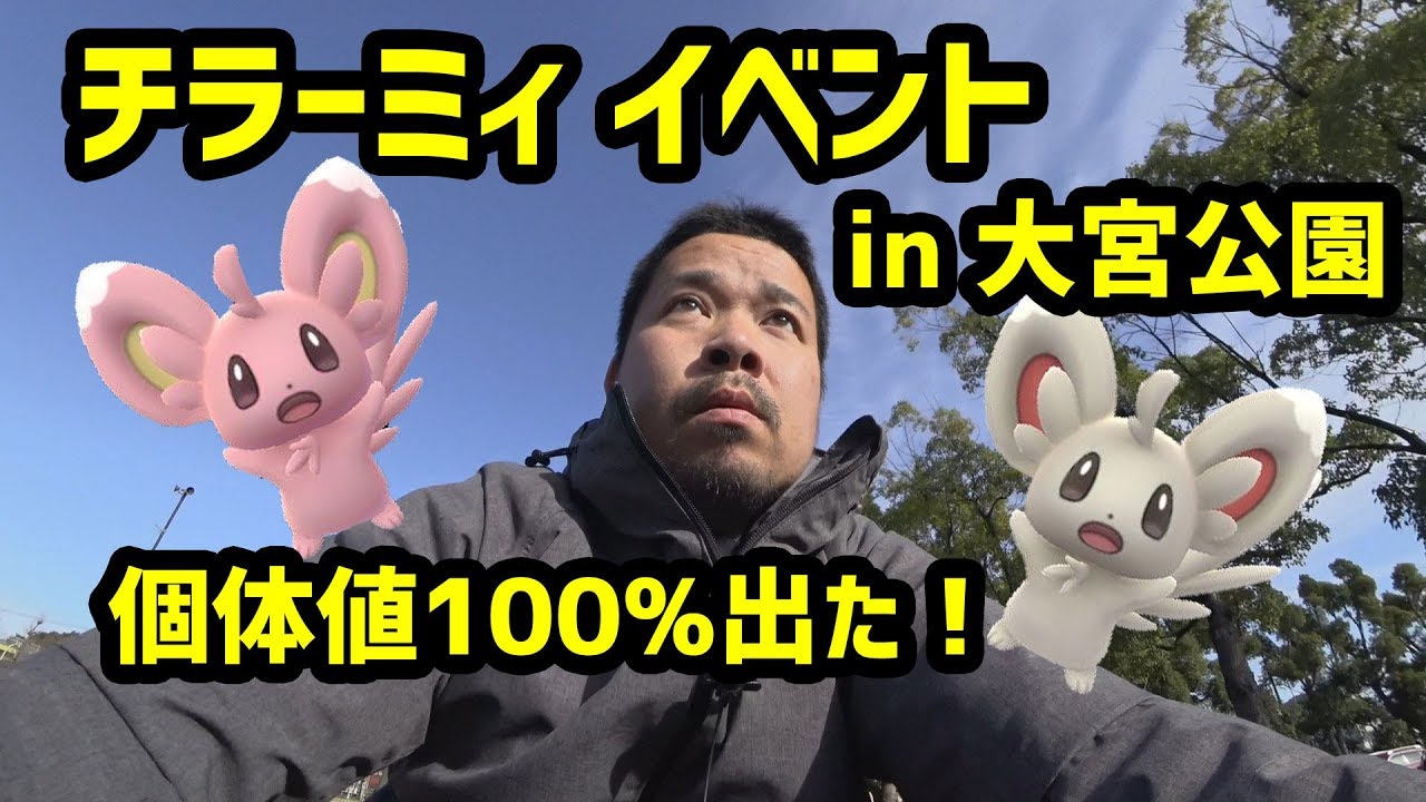 【ポケモンＧＯ】チラーミィイベント ！個体値100ゲット！