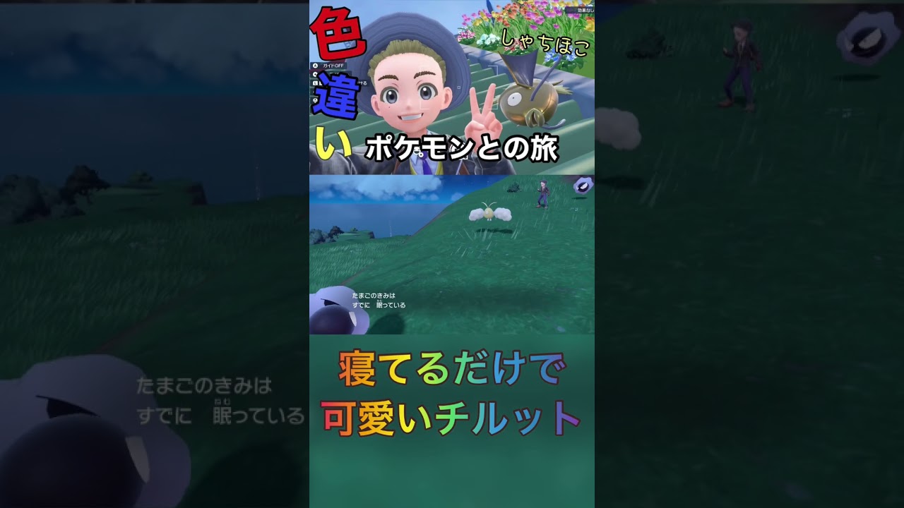 【ポケモンバイオレット】62色違いチルットのさいみんじゅつ#shorts #ゲーム #switch #ポケモンsv #ポケモン #色違い #チャンネル登録お願いします