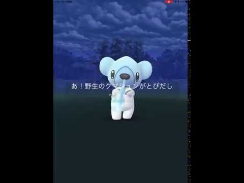 【ポケモンGO】初めて、野生のクマシュンに遭遇！